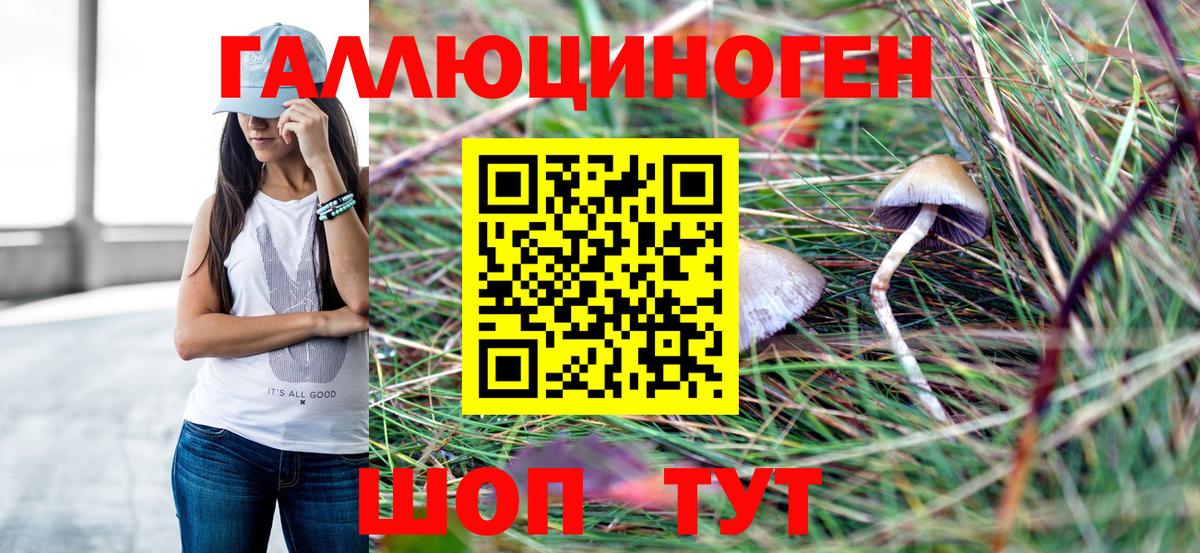Елец  Галлюциногенные грибы прущие грибы  Вход с VPN 